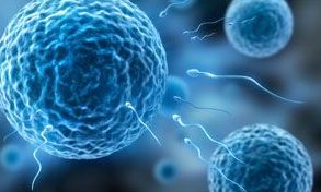 武汉地区有哪些私立的机构可以做试管技术？B超多少钱一次？单独做挂什么科？