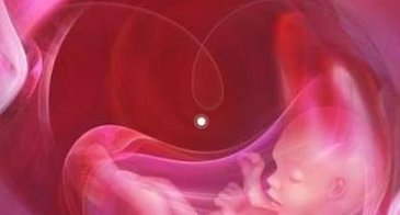 选择吉尔吉斯斯坦试管婴儿医院，最适合你的专业机构推荐！