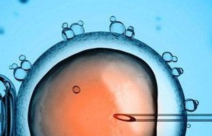 试管移植后胚胎有可能发育慢和这些原因有关