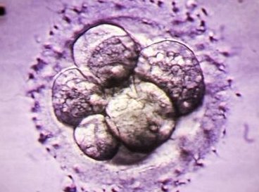 警惕骗局，大肆宣扬成功率的成都助孕机构不能信！